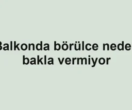 Balkonda börülce neden bakla vermiyor