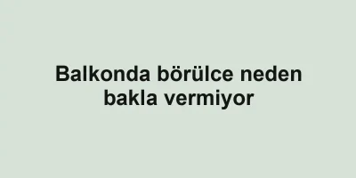 Balkonda börülce neden bakla vermiyor
