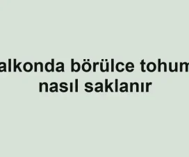 Balkonda börülce tohumu nasıl saklanır