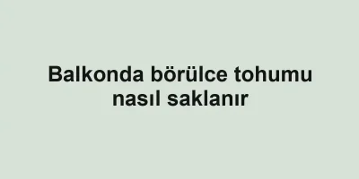 Balkonda börülce tohumu nasıl saklanır