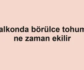 Balkonda börülce tohumu ne zaman ekilir