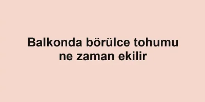 Balkonda börülce tohumu ne zaman ekilir