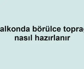 Balkonda börülce toprağı nasıl hazırlanır