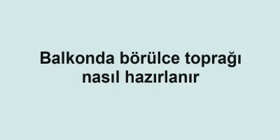 Balkonda börülce toprağı nasıl hazırlanır