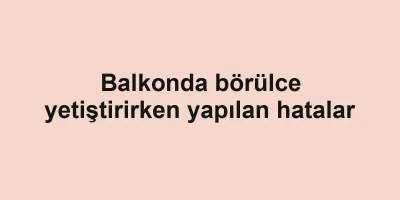 Balkonda börülce yetiştirirken yapılan hatalar