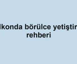Balkonda börülce yetiştirme rehberi