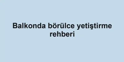 Balkonda börülce yetiştirme rehberi