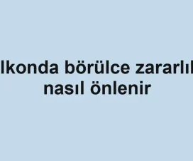 Balkonda börülce zararlıları nasıl önlenir