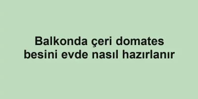 Balkonda çeri domates besini evde nasıl hazırlanır
