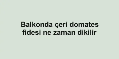 Balkonda çeri domates fidesi ne zaman dikilir