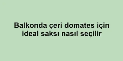 Balkonda çeri domates için ideal saksı nasıl seçilir