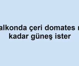 Balkonda çeri domates ne kadar güneş ister