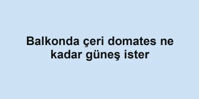 Balkonda çeri domates ne kadar güneş ister