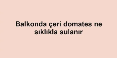 Balkonda çeri domates ne sıklıkla sulanır