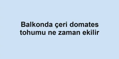 Balkonda çeri domates tohumu ne zaman ekilir