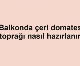 Balkonda çeri domates toprağı nasıl hazırlanır