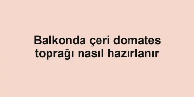 Balkonda çeri domates toprağı nasıl hazırlanır