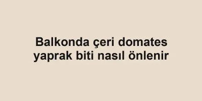 Balkonda çeri domates yaprak biti nasıl önlenir