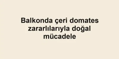 Balkonda çeri domates zararlılarıyla doğal mücadele