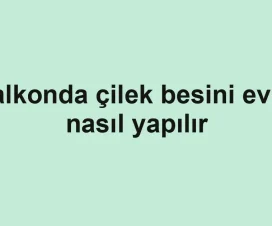Balkonda çilek besini evde nasıl yapılır