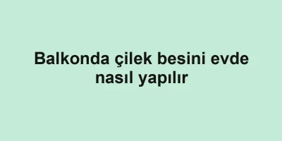 Balkonda çilek besini evde nasıl yapılır