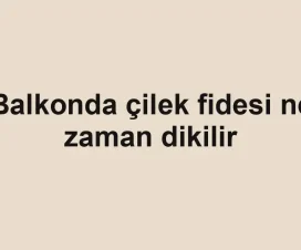 Balkonda çilek fidesi ne zaman dikilir