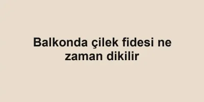 Balkonda çilek fidesi ne zaman dikilir