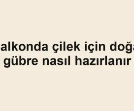 Balkonda çilek için doğal gübre nasıl hazırlanır