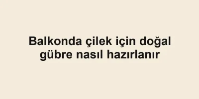 Balkonda çilek için doğal gübre nasıl hazırlanır