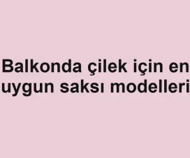 Balkonda çilek için en uygun saksı modelleri