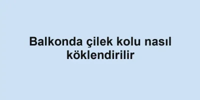 Balkonda çilek kolu nasıl köklendirilir