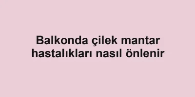 Balkonda çilek mantar hastalıkları nasıl önlenir
