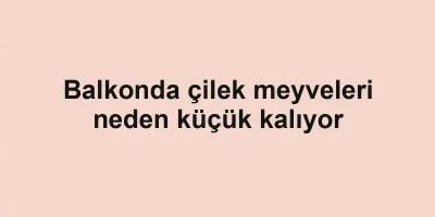 Balkonda çilek meyveleri neden küçük kalıyor