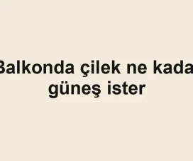 Balkonda çilek ne kadar güneş ister