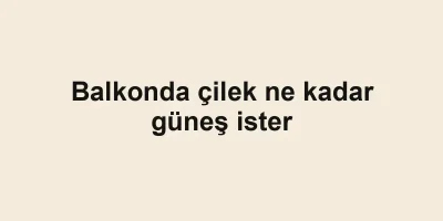 Balkonda çilek ne kadar güneş ister
