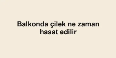 Balkonda çilek ne zaman hasat edilir