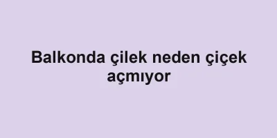 Balkonda çilek neden çiçek açmıyor