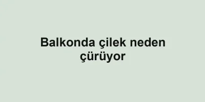 Balkonda çilek neden çürüyor