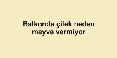 Balkonda çilek neden meyve vermiyor