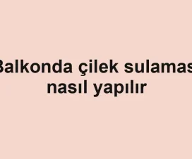 Balkonda çilek sulaması nasıl yapılır