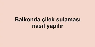 Balkonda çilek sulaması nasıl yapılır