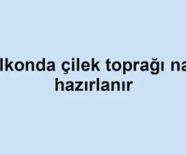 Balkonda çilek toprağı nasıl hazırlanır