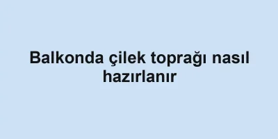 Balkonda çilek toprağı nasıl hazırlanır