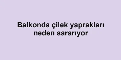 Balkonda çilek yaprakları neden sararıyor