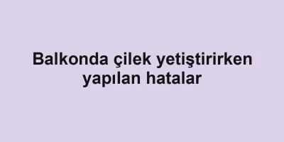 Balkonda çilek yetiştirirken yapılan hatalar