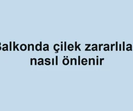Balkonda çilek zararlıları nasıl önlenir