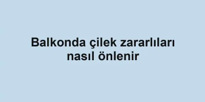 Balkonda çilek zararlıları nasıl önlenir