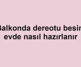 Balkonda dereotu besini evde nasıl hazırlanır