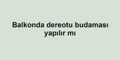 Balkonda dereotu budaması yapılır mı
