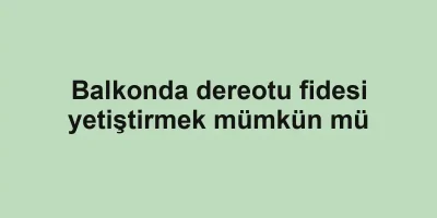 Balkonda dereotu fidesi yetiştirmek mümkün mü
